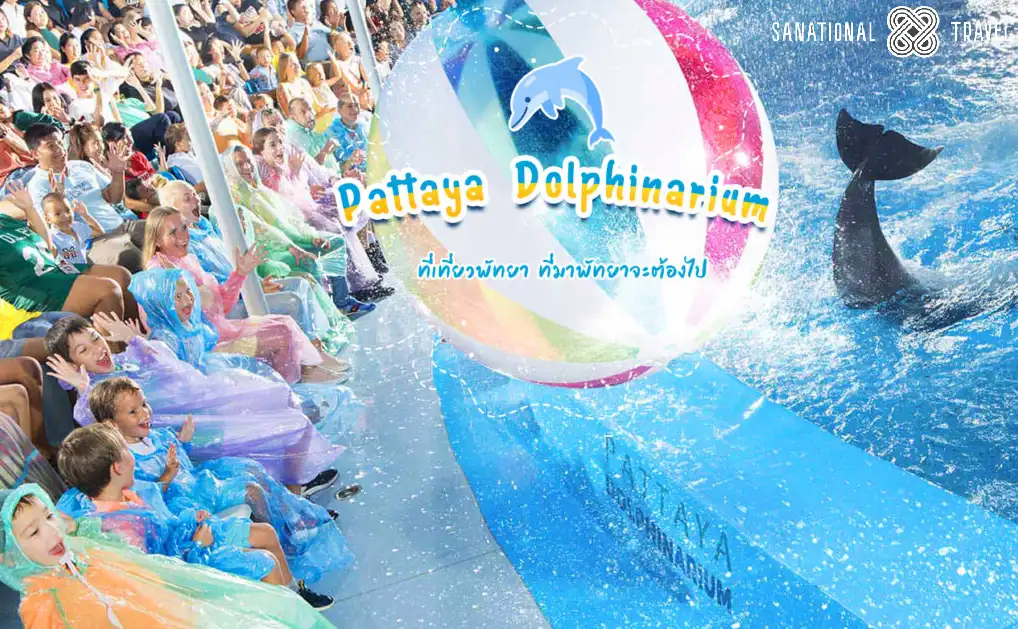 3.Pattaya Dolphinarium